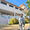 Artes Koci